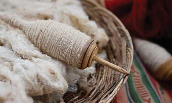 All about wool